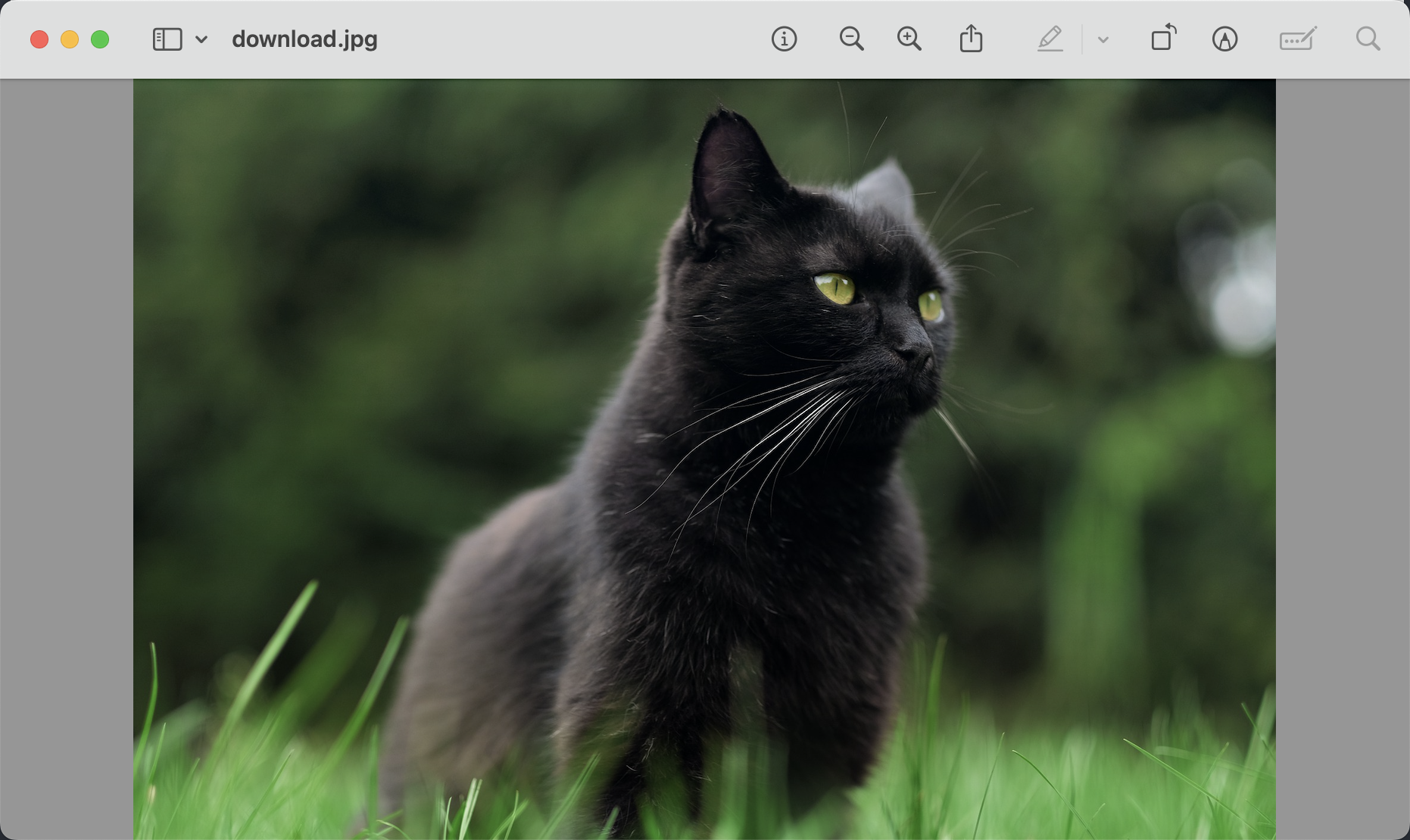 imgs/image-20250825183141730.png